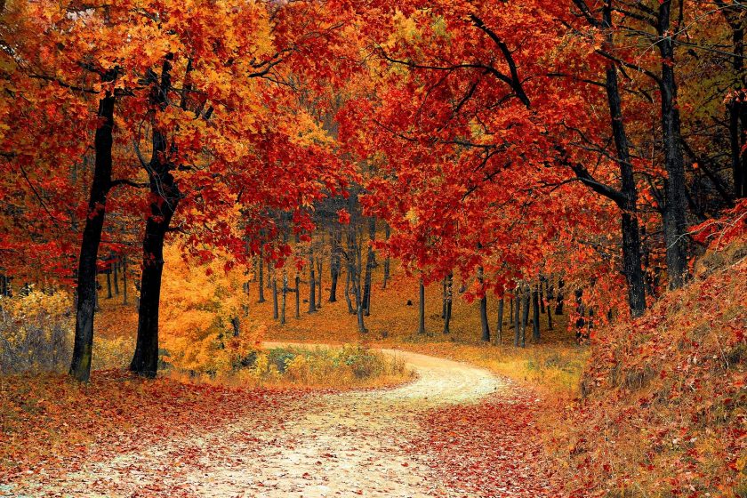 Bien préparer sa voiture pour l’automne avec Wash